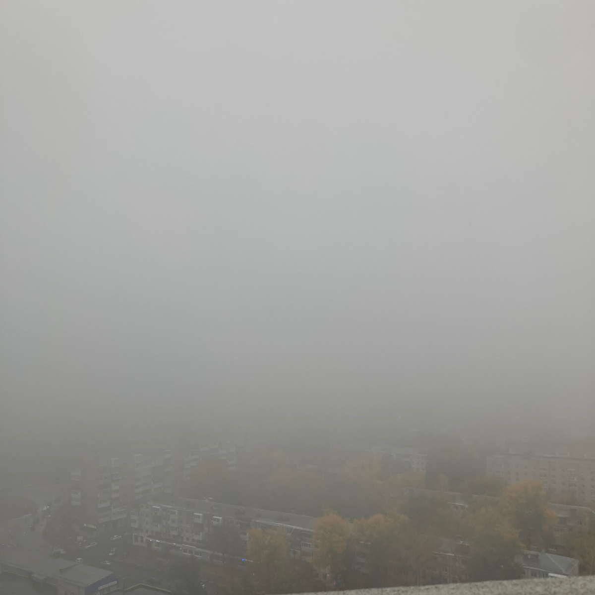 Туман… изморозь…