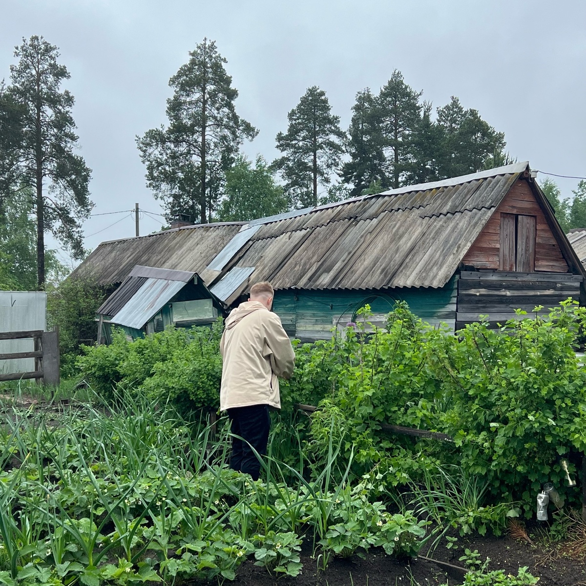    Не свалка, а удобрение для будущего сезона — как превратить ботву и листья в перегной за одну зиму: всего два полива осенью