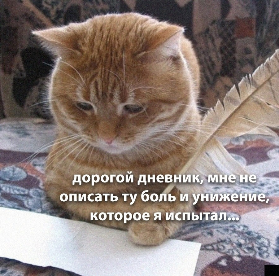 источник Яндекс-картинки