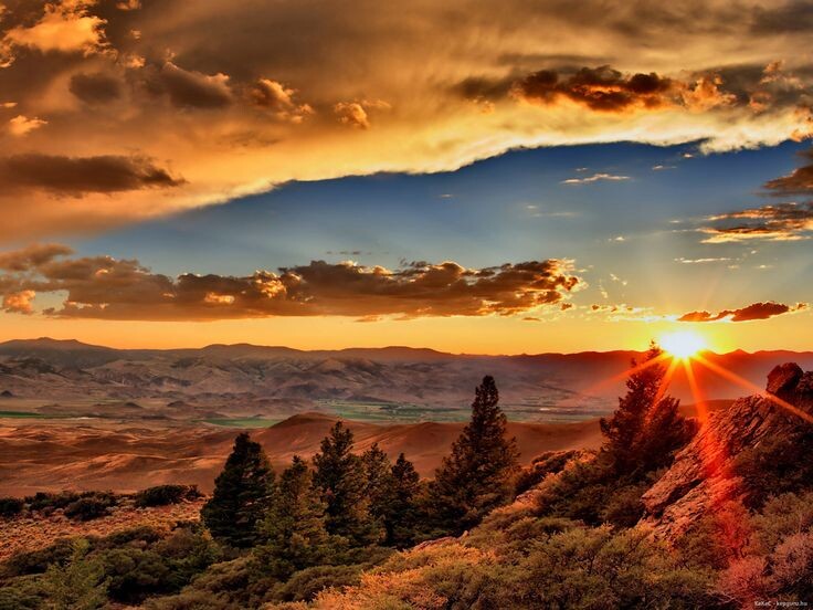 фото взято из открытого источника