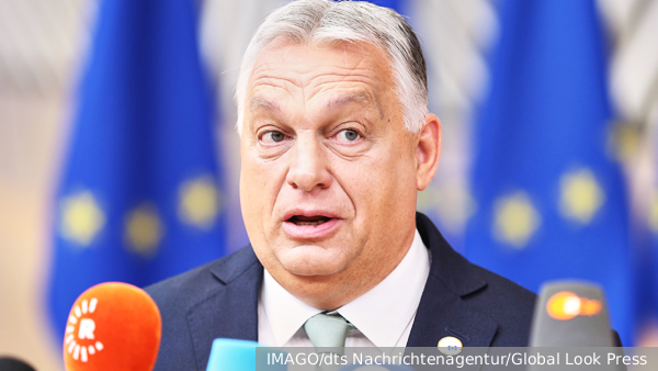     Фото: IMAGO/dts Nachrichtenagentur/Global Look Press   
 Текст: Ольга Иванова