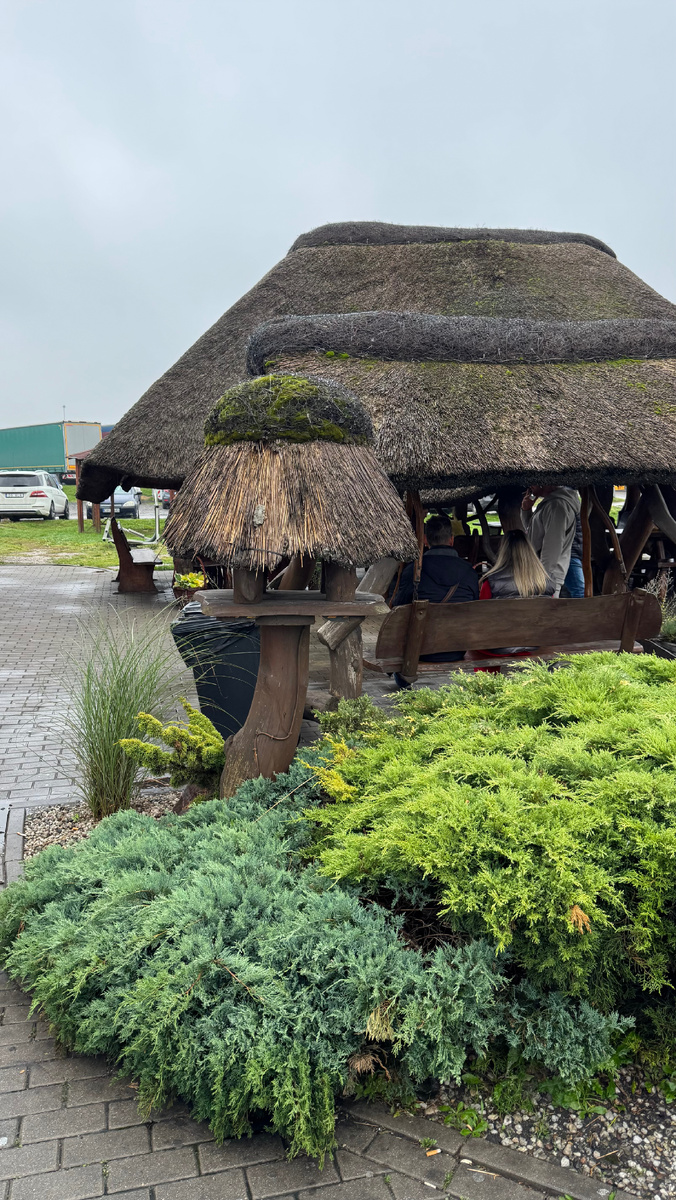 Зелёная зона у придорожного кафе 