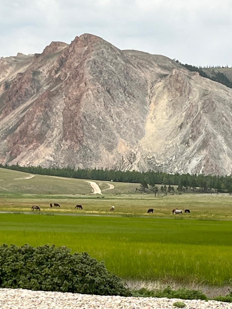 фото из личного архива