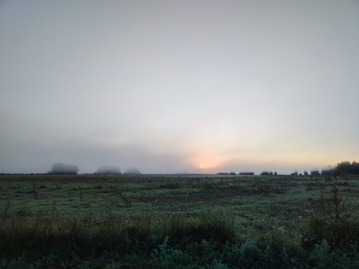 Солнце неспешно вступает в свои права.