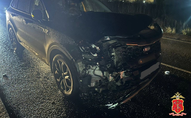    © Пресс-служба ГУ МВД по Петербургу и Ленинградской области