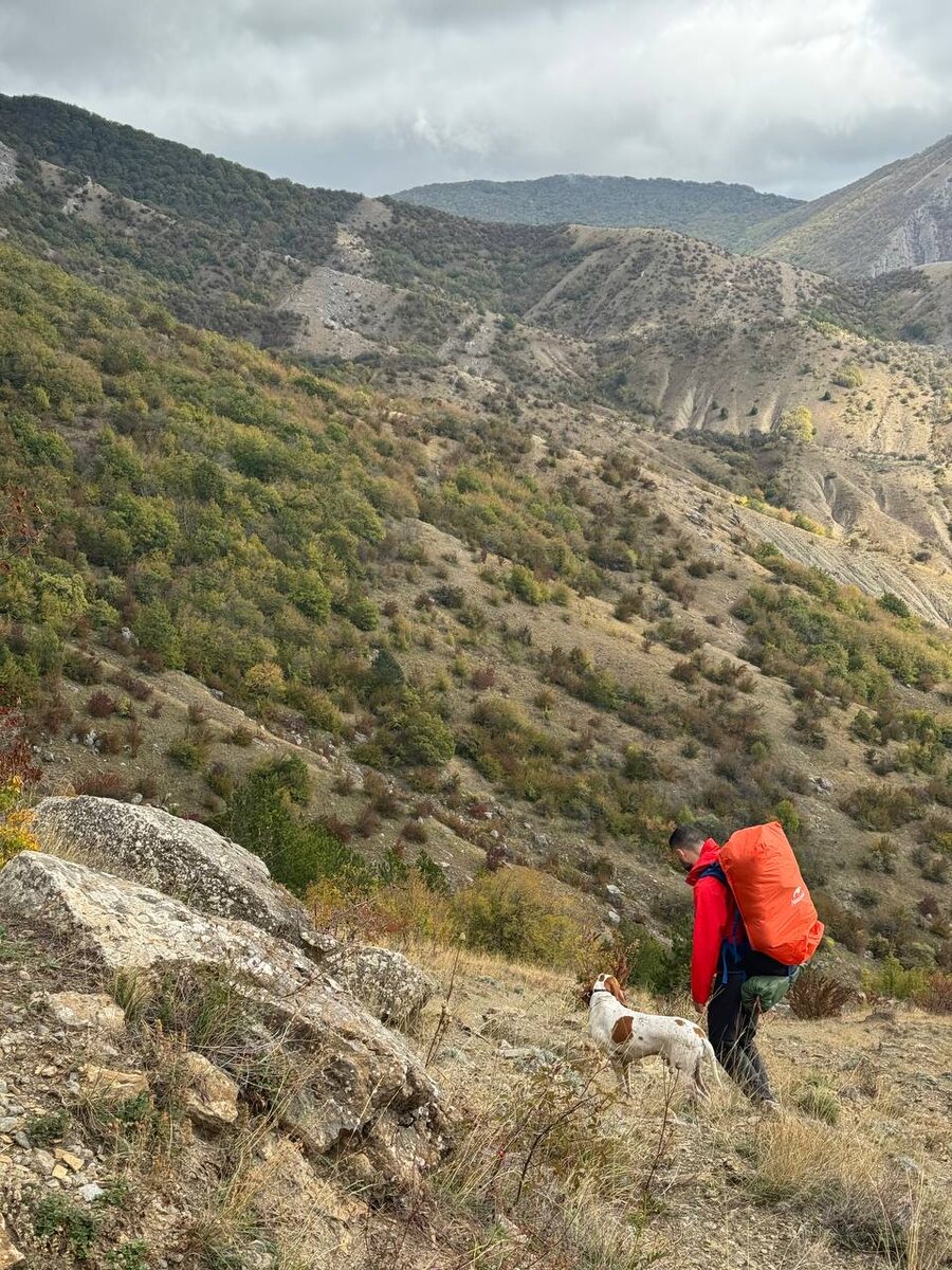 Поход по Крыму с собакой на 6 дней