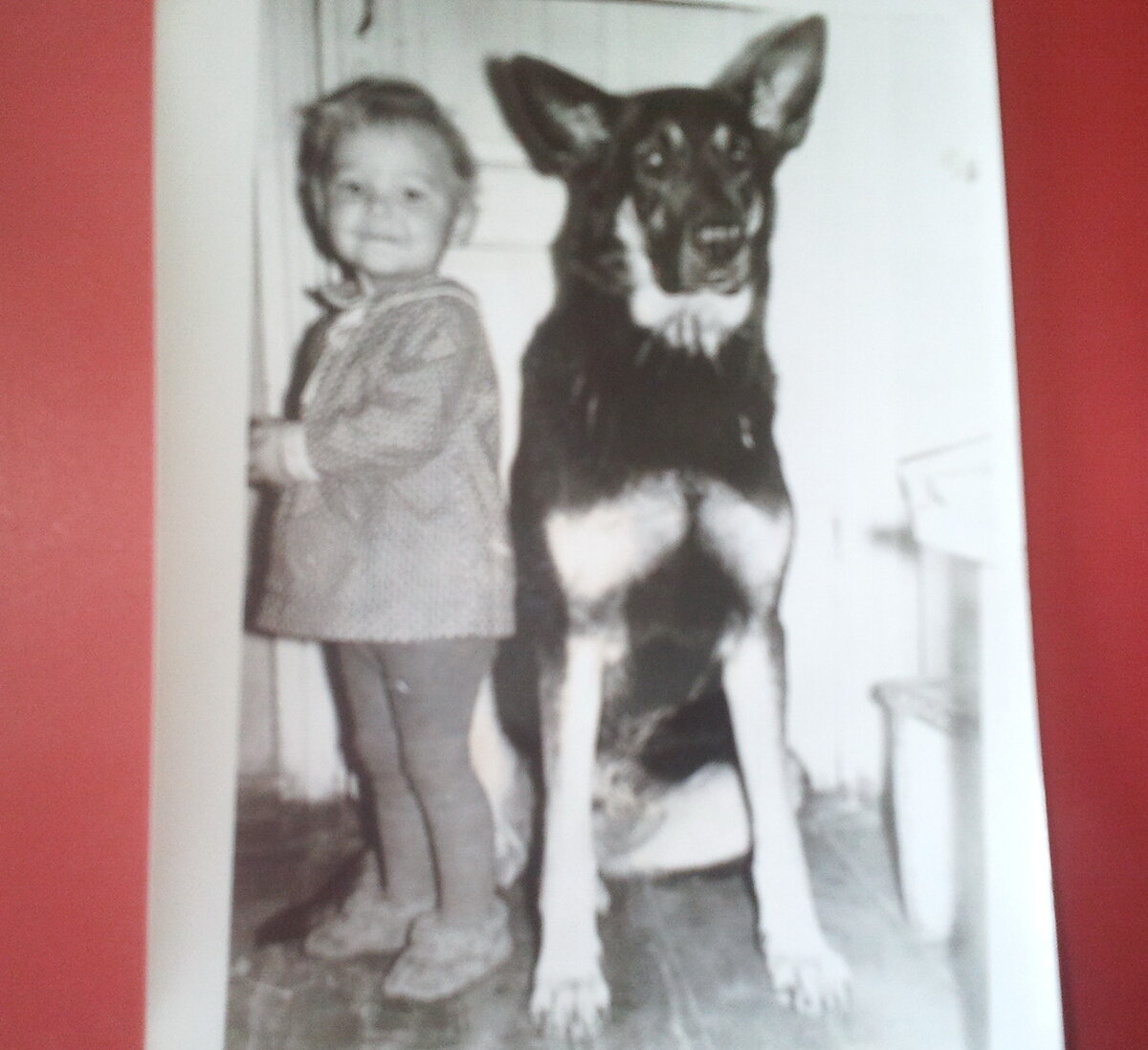 Фото автора