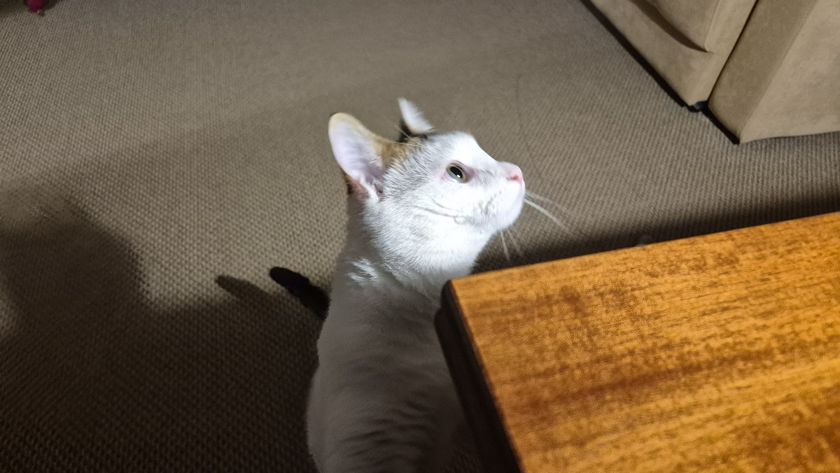 Репортаж с места событий