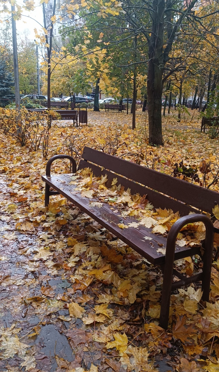 Скамейка во дворе нашего дома