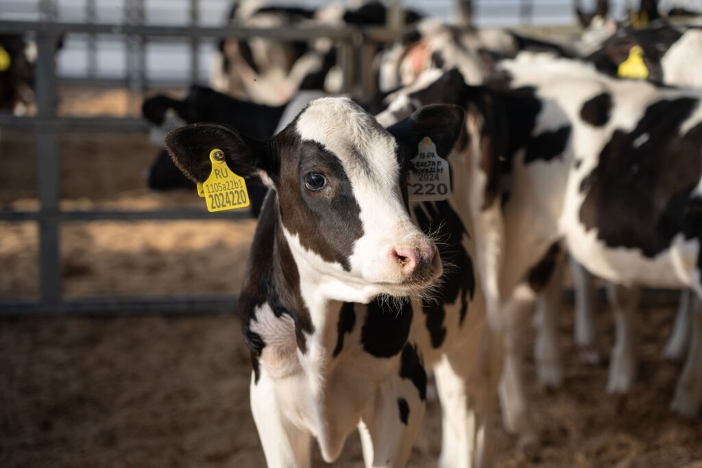 Фото: Александр Плонский / «ВиЖ»