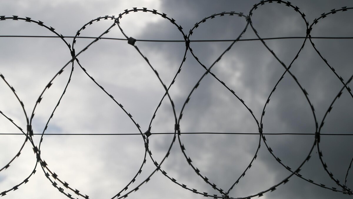    Фото: globallookpress/Belkin Alexey