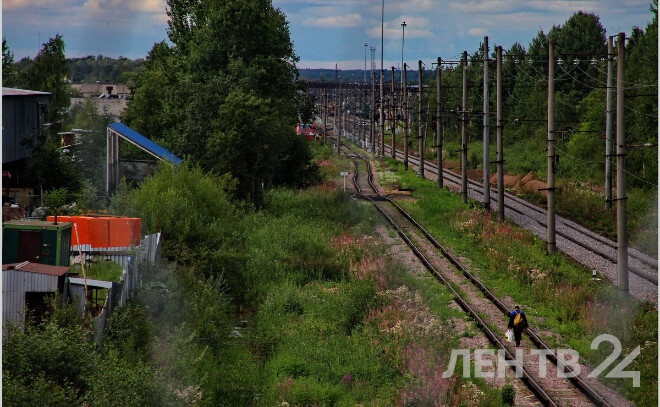    © Анастасия Илюшина / ЛенТВ24, архивное фото