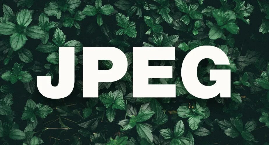 JPG — ваш лучший друг для идеальных фото! 