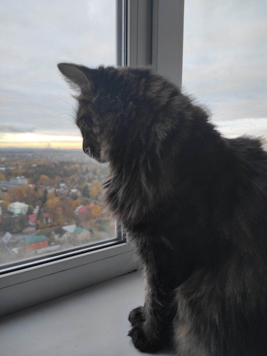 Арсений, ну что кожаные нашли в этих рассветах?