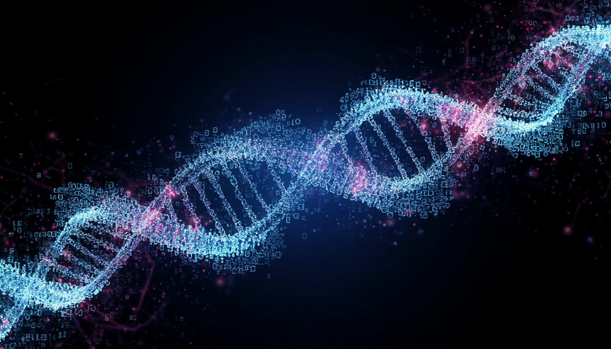 Источник Шедеврум 