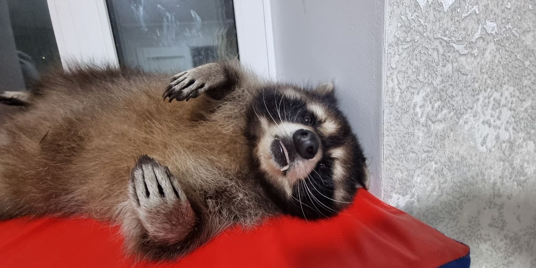 Актуалочка за сегодня