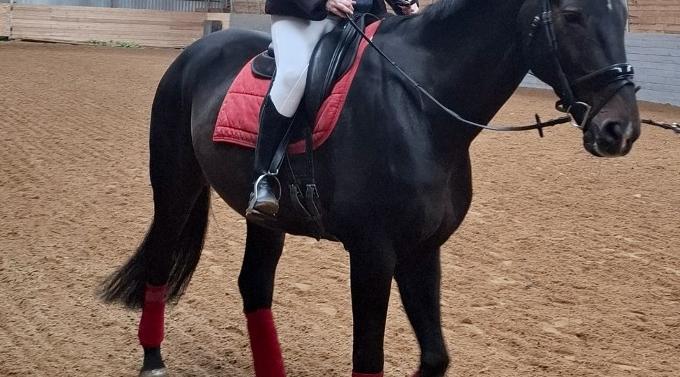 Про любовь с первого взгляда