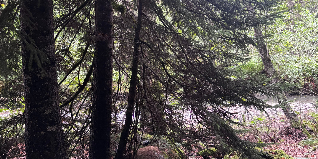 После тишины — дыхание. Часть первая