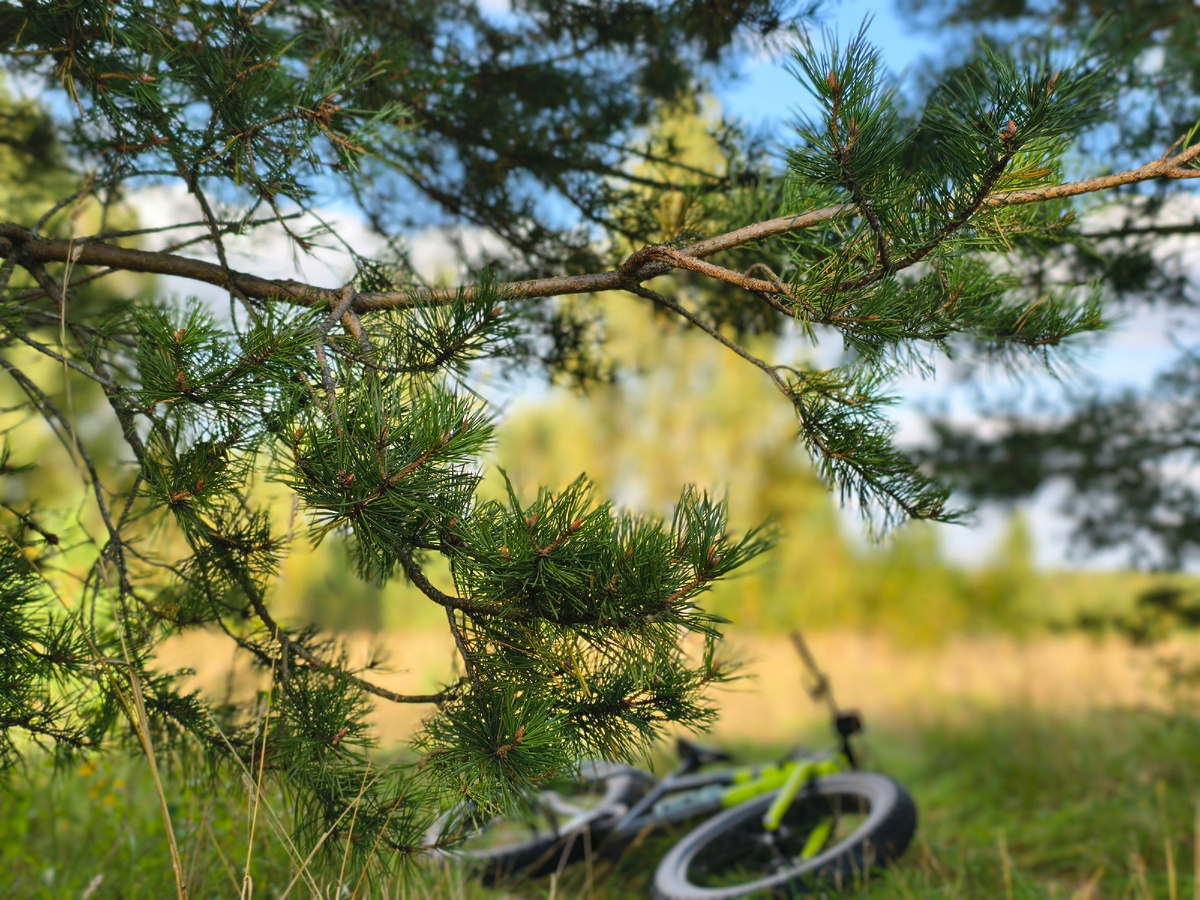 Когда осень была тёплой 