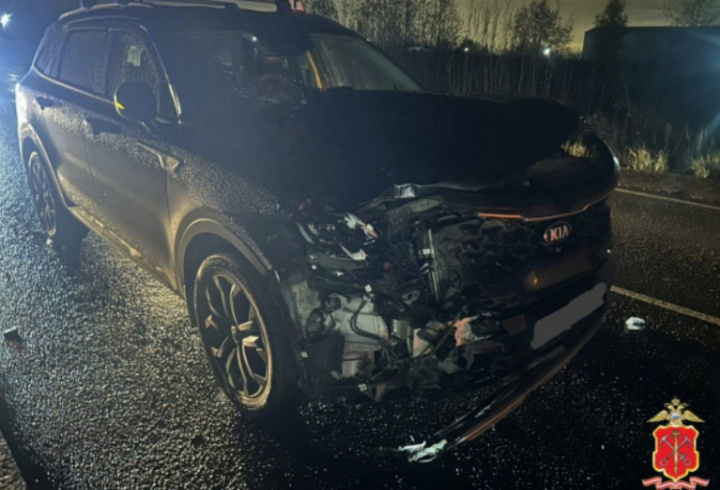 фото: Telegram-канал «Петербургская полиция»