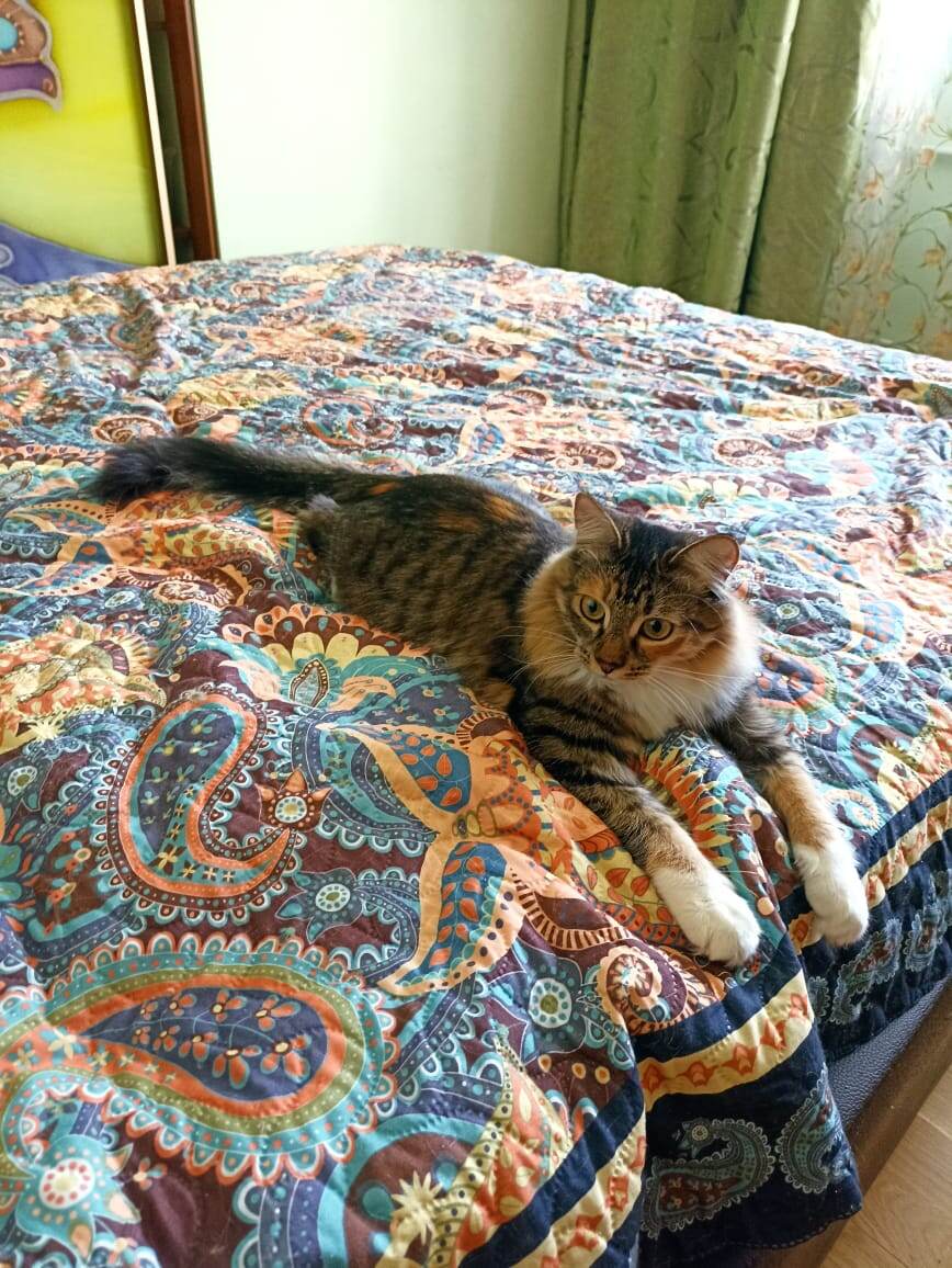 Вот эти мускулистые лапендры!)) 