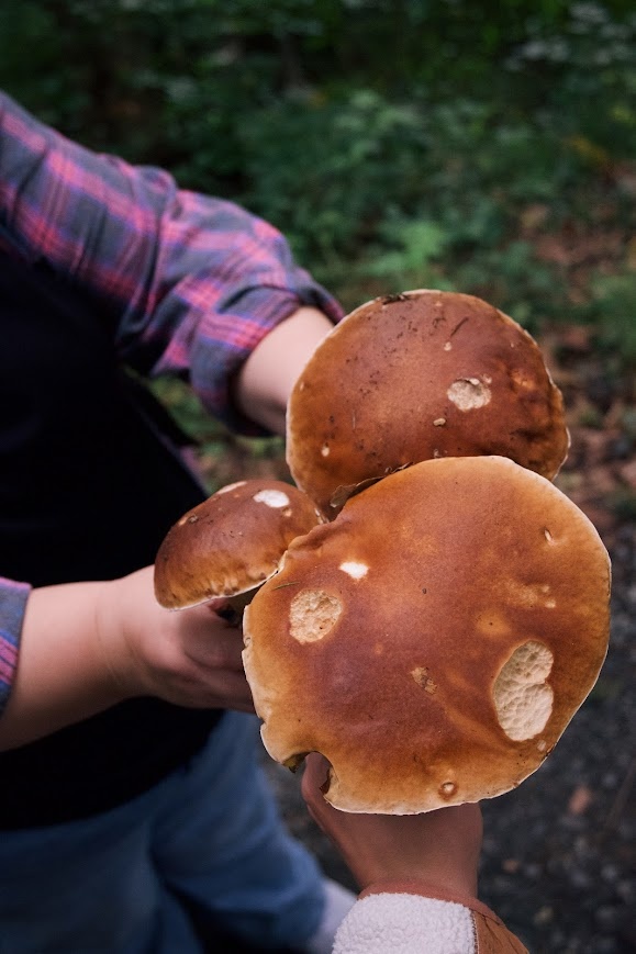 Как вы понимаете обещание данное самой себе я не сдержала