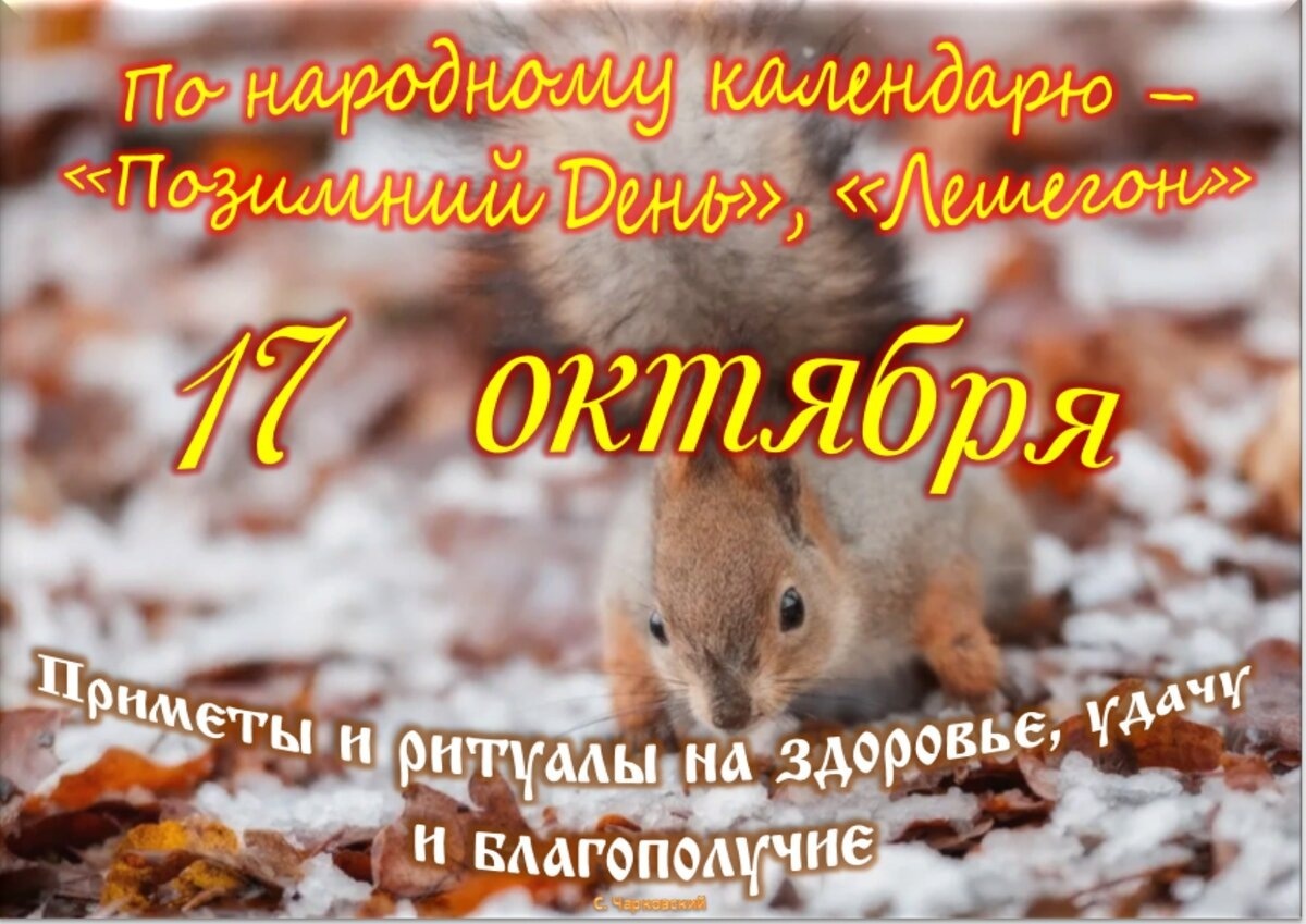 Встречаем новый день