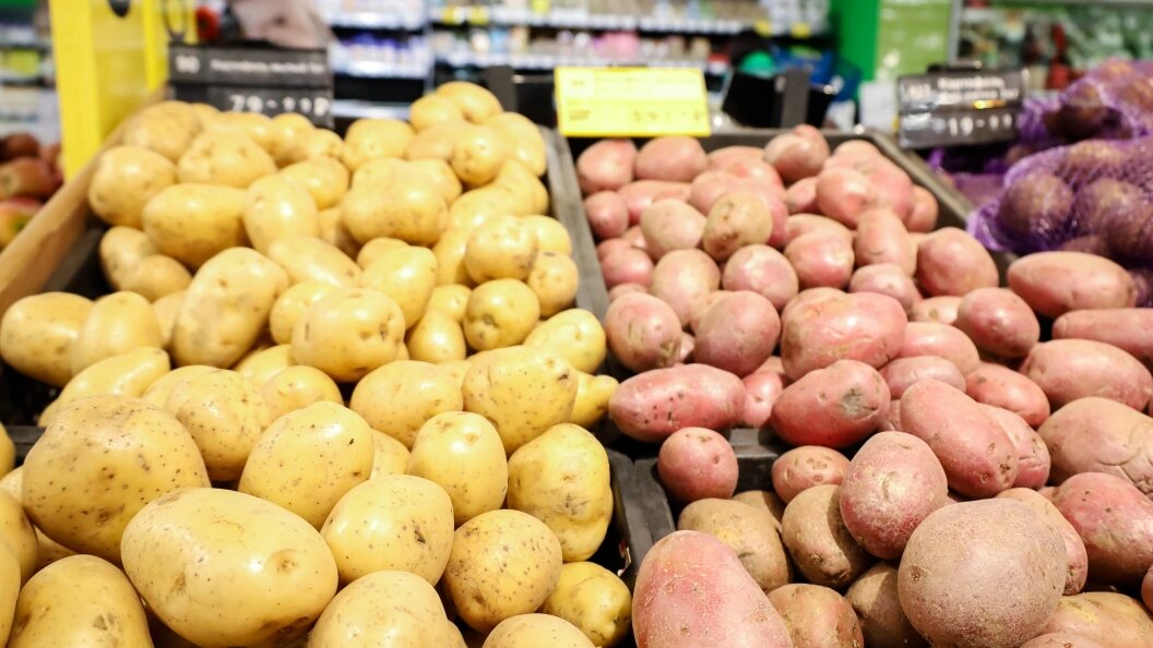    Фото: Elena Mayorova/Global Look Press