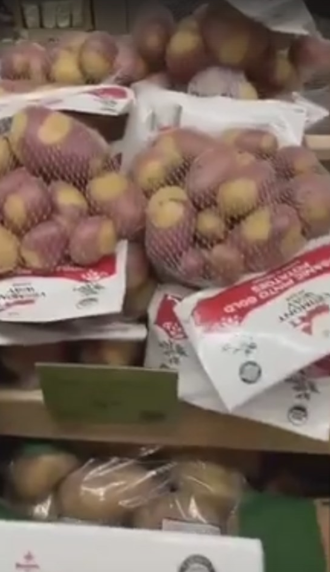    Фото: скриншот Дзен-канал "Успехи России"