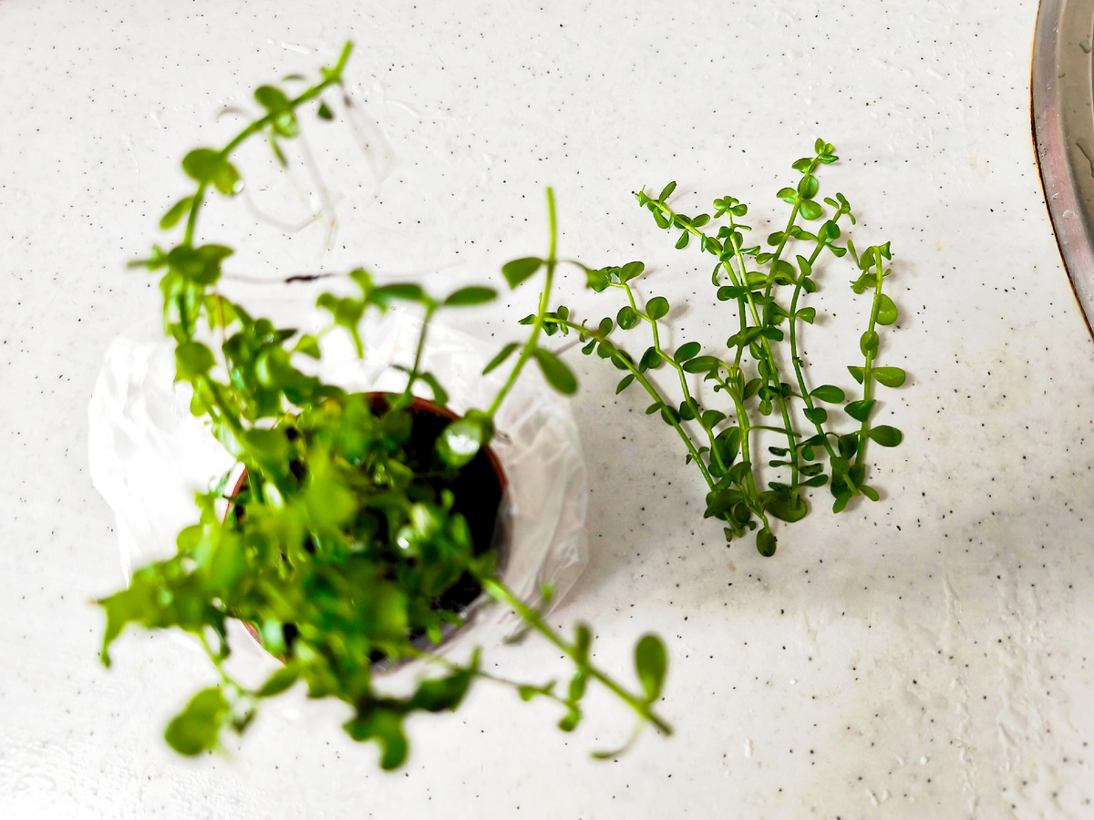 Фото Христенко Юрия