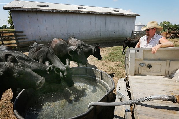    Фото: Scott Olson / Getty Images