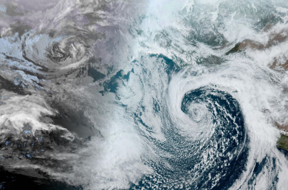    Shutterstock/FOTODOM