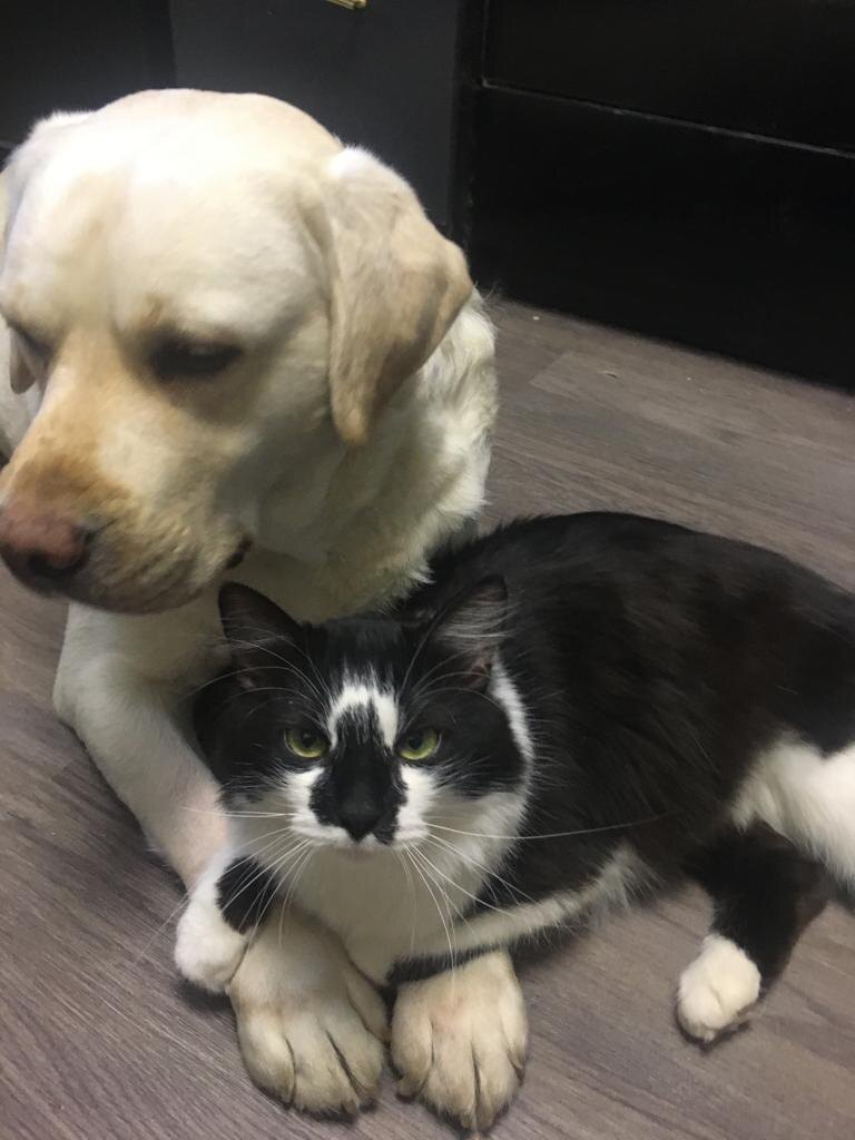 фото из личных архивов