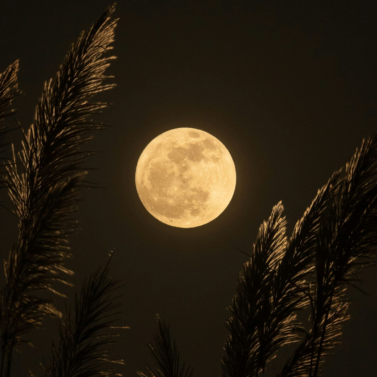 Изображение используется в соответствии с лицензией стогового сайта unsplash.com