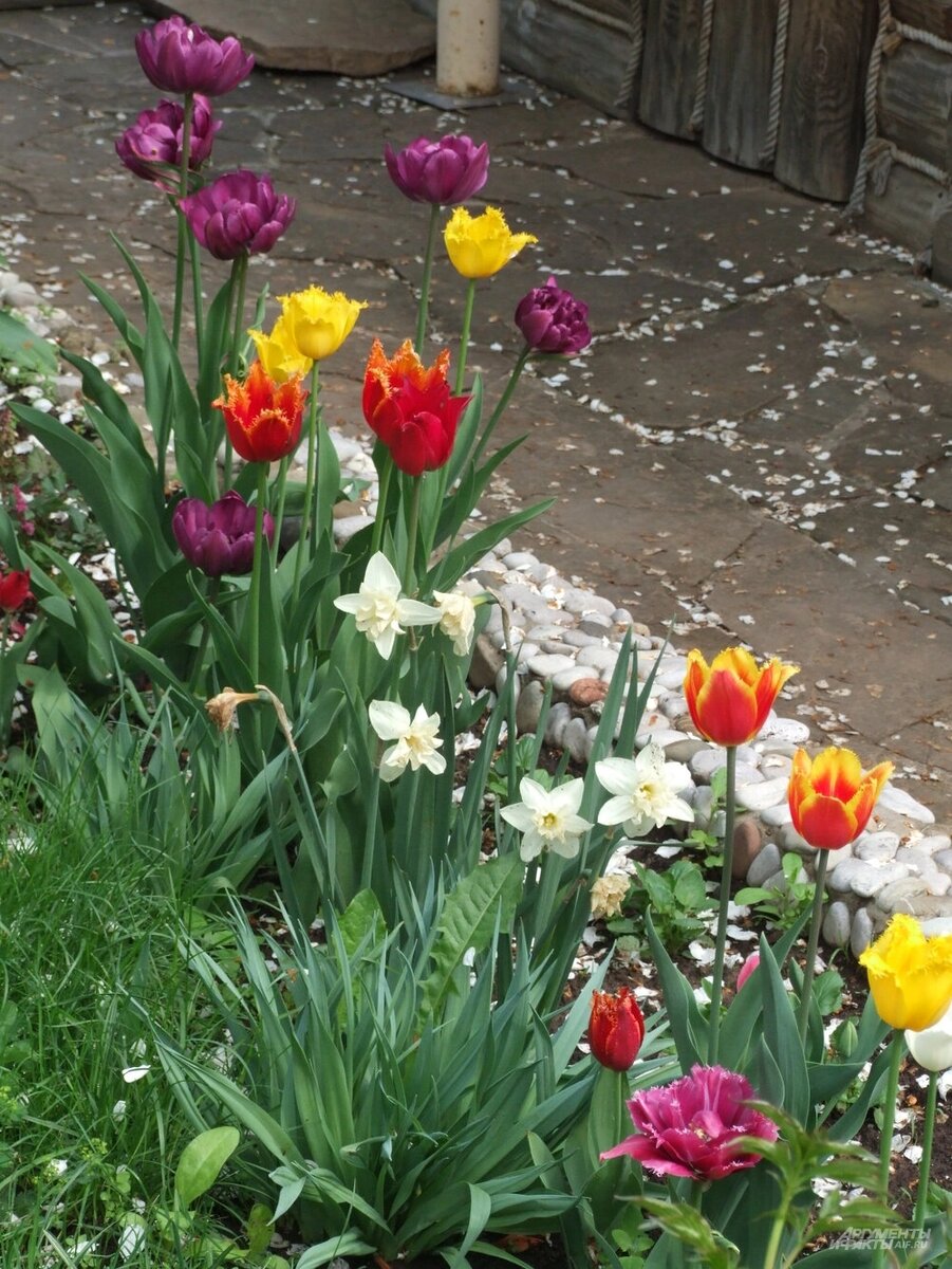    Фото: АиФ/ Ольга Воронова