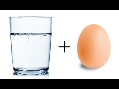 Фото взято из открытых источников