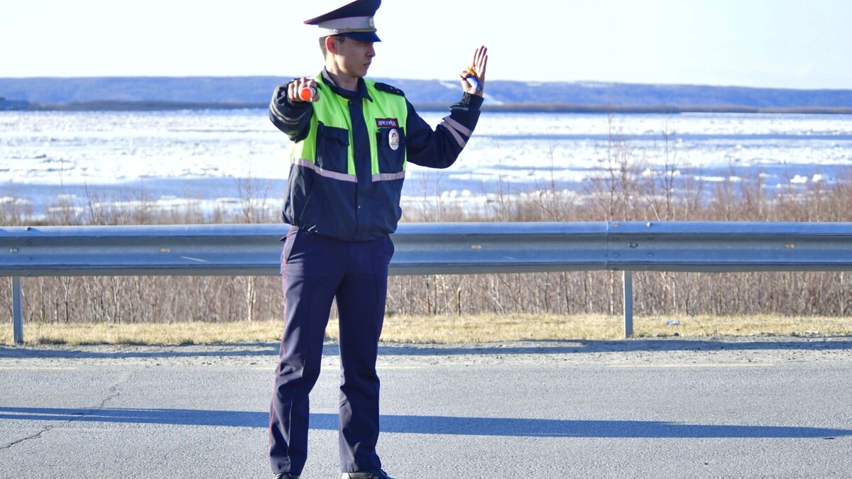    Фото: Андрей Ткачев / «Ямал-Медиа»