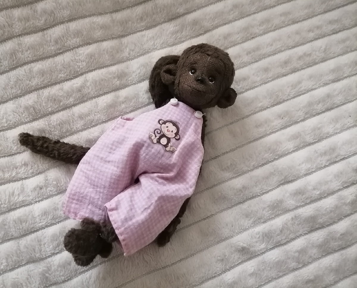 Обезьянка ткдди