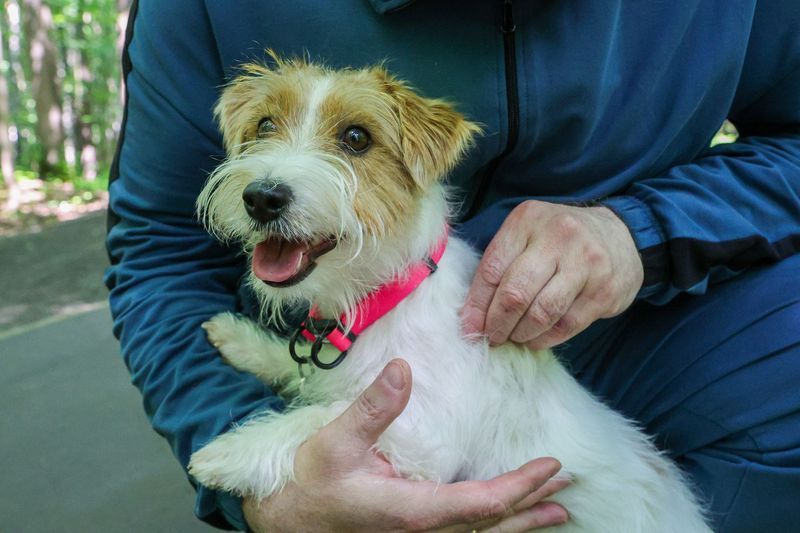    Наталья Шатохина/NEWS.ru