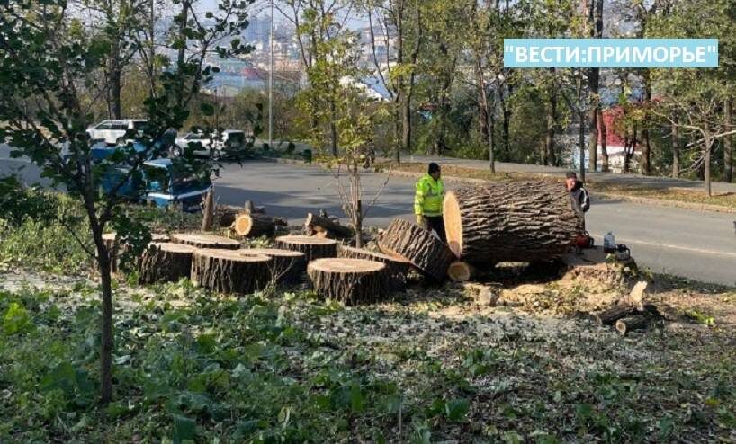    Источник фото: тематическое