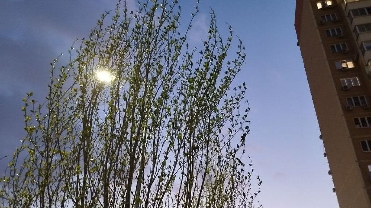    Фото: телеканал «Краснодар»