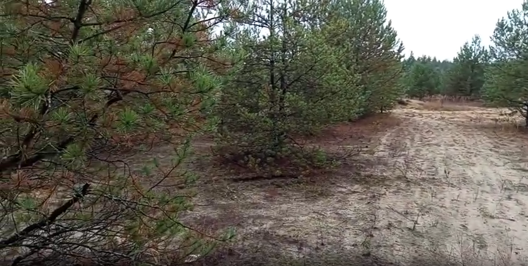 Скрин с видео Сергея Петрова