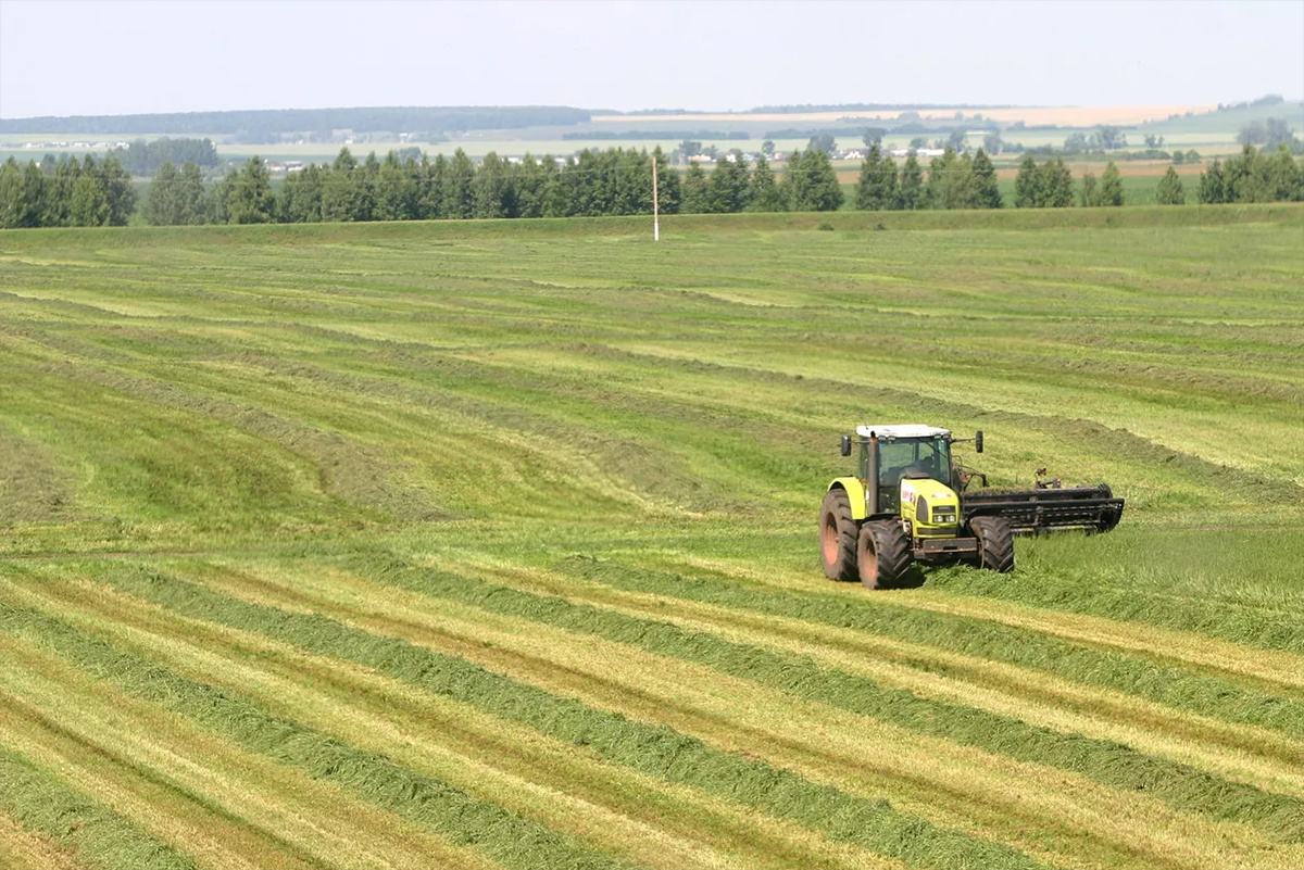    Фото: Алексей Насыров, источник: РИА Новости