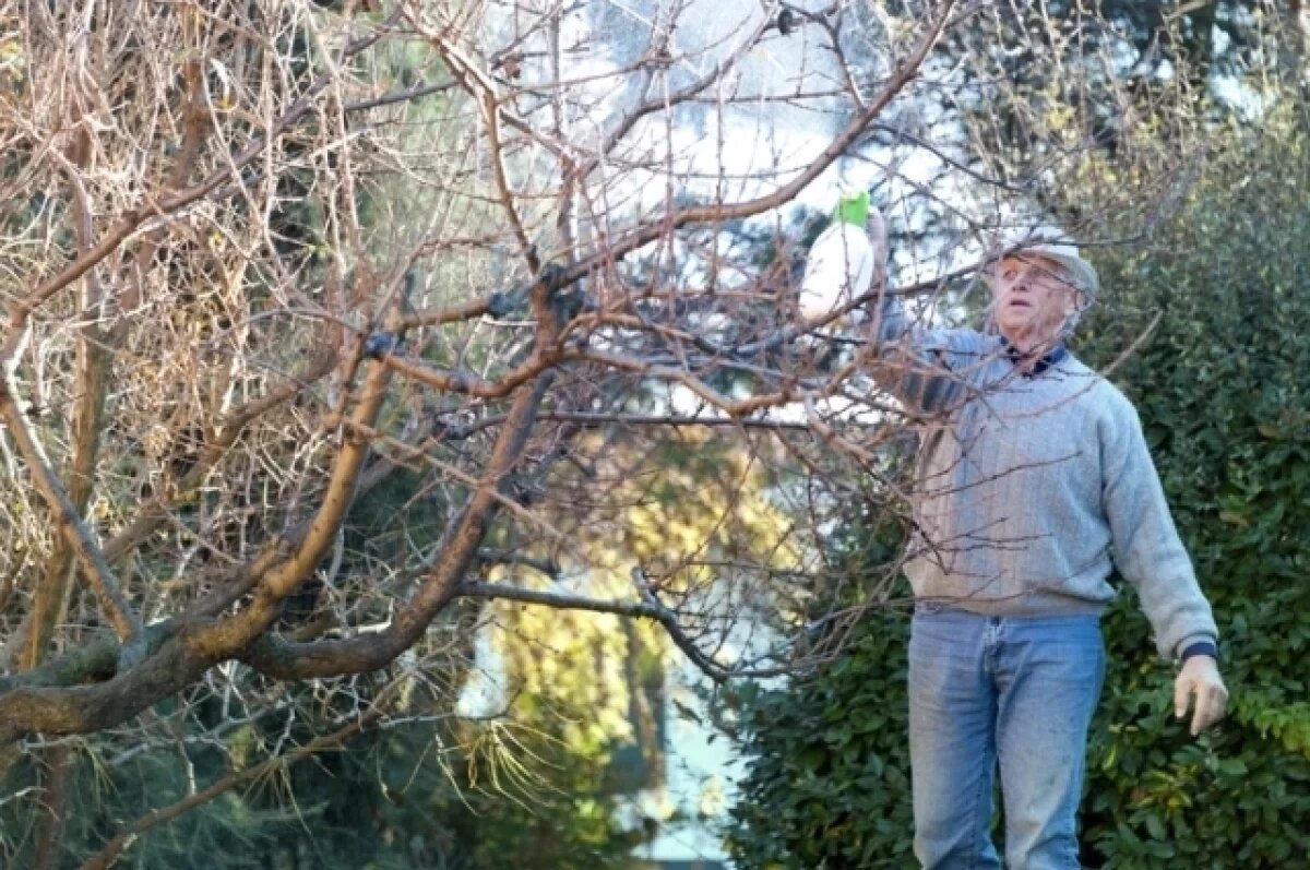    Современные натуральные и биологические препараты обеспечивают тот же результат, но без негативных последствий для растений, почвы и будущего урожая.