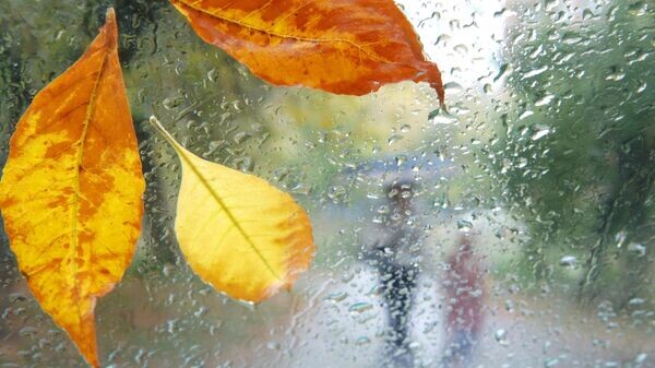    © Sputnik / Сергей Пятаков