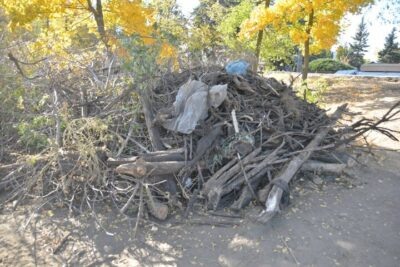 © ИА «Версия-Саратов»