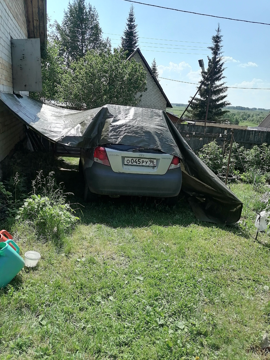 наша старушка на даче