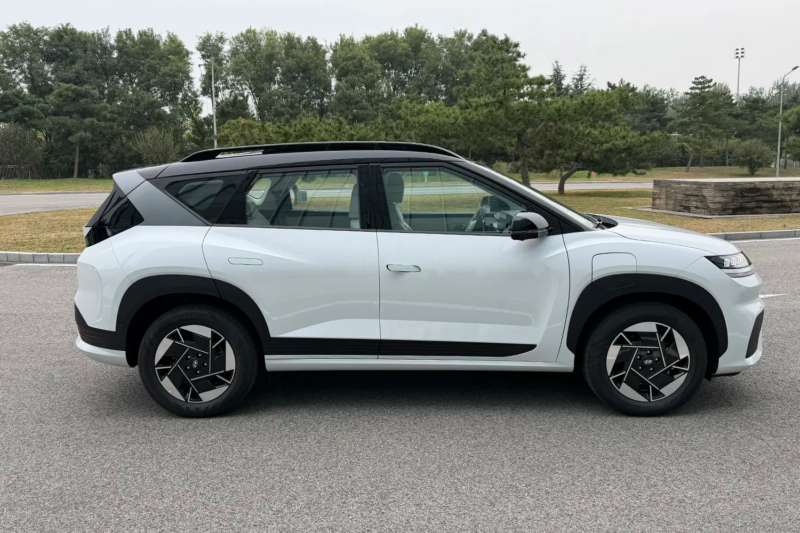 Фото carnewschina  📷
