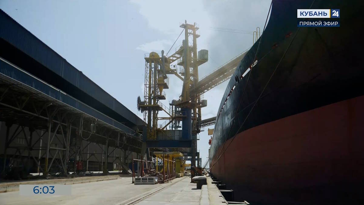    Видео канала «Кубань 24»