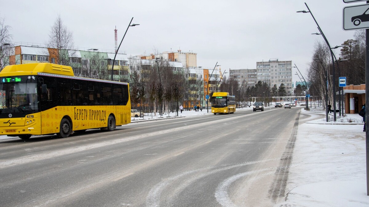    Фото: Юрий Здебский / «Ямал-Медиа»
